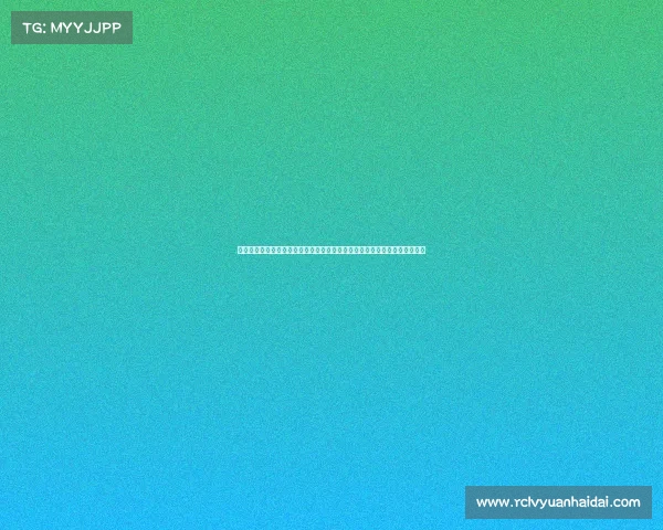 美国队夺冠世界聋人篮球锦标赛展现实力与决心重新定义聋人体育竞技新篇章 美国队夺冠世界聋人篮球锦标赛展现实力与决心重新定义聋人体育竞技新篇章